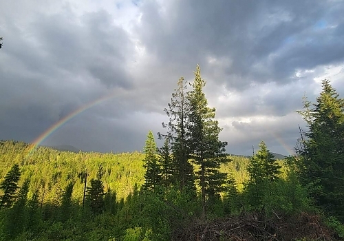  View of rainbow over hunting area